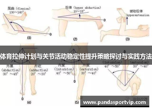 体育拉伸计划与关节活动稳定性提升策略探讨与实践方法